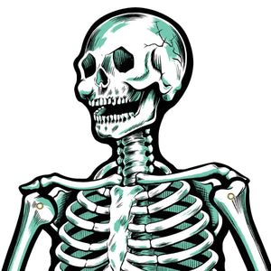 Halloween Party Supplies - Jointed Skeletons