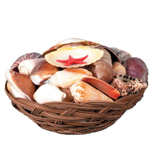 Luau Party Shell Basket - Bulk/6 Baskets