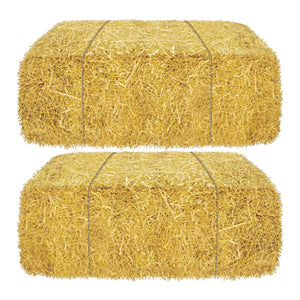 Bulk Barn Loft Door & Hay Bale Props (Case of 72) by Beistle