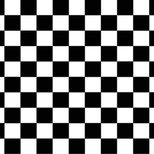 Checkered Party Backdrop - Bulk 6 Pack