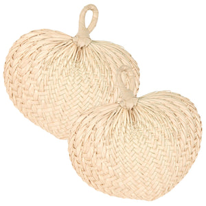 Luau Party Raffia Fans - Bulk/6 Fans