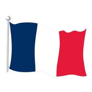 French Flag Cutout printed 2 sides - Bulk 24 Pack