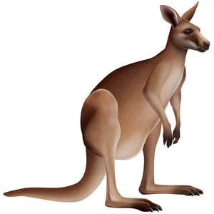 Jointed Kangaroo Wall Decoration - Bulk 12 Pack