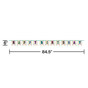 Bulk Pack of 2 Birthday Burst Banner w/Ribbon