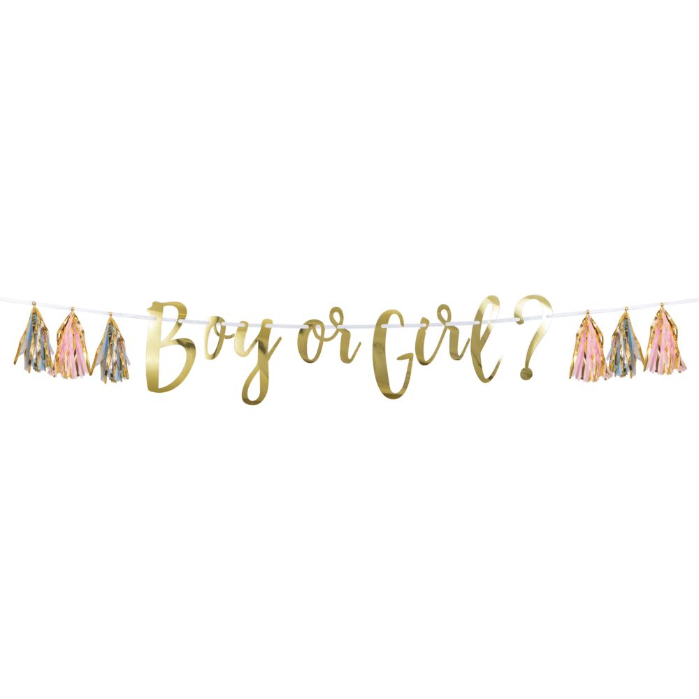 Pink, Blue, And Gold Boy Or Girl Tassel Banner (1/Pkg)