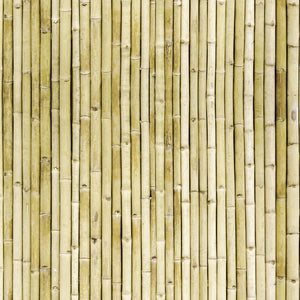 Bamboo Plastic Tablecover 54" x 108", All Over Print